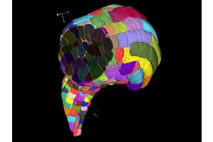 Revolutionizing Cell Analysis: Harnessing Artificial Intelligence for Automatic Insights