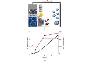 Transforming Plastic Waste into Valuable Resources: A Breakthrough Photocatalytic Method