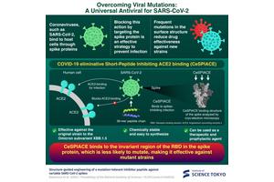 CeSPIACE: A Versatile Peptide Inhibitor Targeting Diverse SARS-CoV-2 Spike Variants