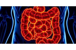 Breakthrough Research by Mayo Clinic Uncovers Proteins Associated with Immunotherapy Resistance in Metastatic Colorectal Cancer