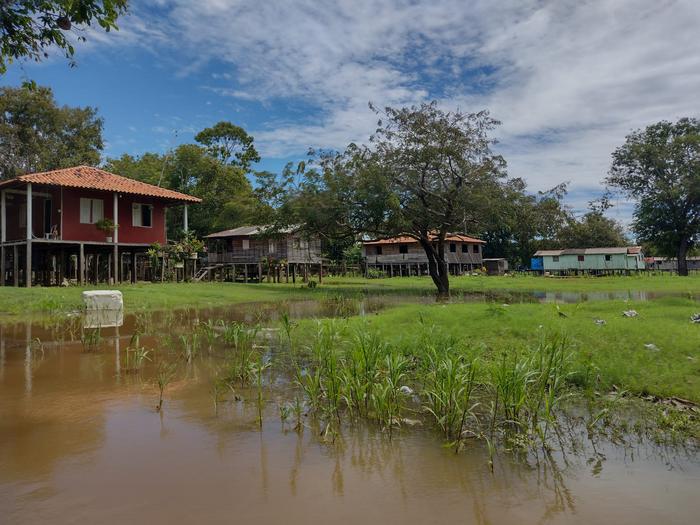 Amazonas community