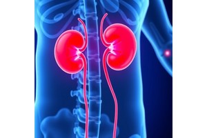 Long-Term Study Confirms Sustained Efficacy and Safety of Zigakibart in IgA Nephropathy Patients