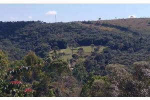 New Tool Pinpoints Ecologically Equivalent Areas to Enhance Restoration Projects