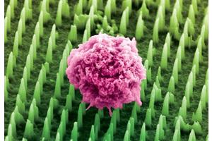 Millions of Nanoneedles Poised to Replace Painful Cancer Biopsies