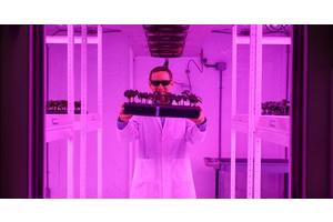 Canadian Scientist Secures ARIA Funding to Unlock Plants’ Potential