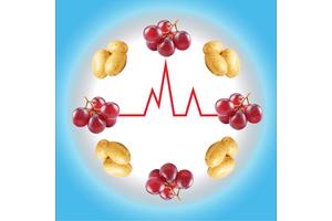 Study Finds Blood Sugar Responses to Different Carbohydrates Reveal Metabolic Health Subtypes