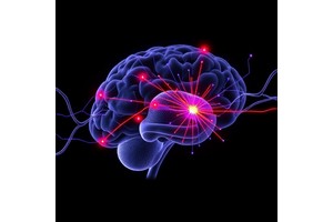 Molecular Gradients Direct Visuomotor Synapse Formation