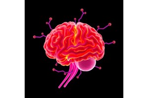 Humanized Monovalent Antibody Therapy Tackles NMDA Encephalitis