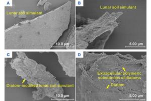 Pioneering Lunar Farming: Harnessing Diatoms for Sustainable Agriculture in Space