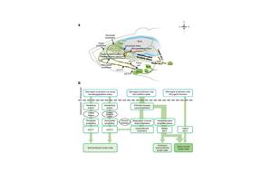 Breakthrough Non-Invasive Technique Unveiled to Boost Brain Waste Clearance