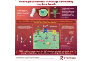 Old Heart Drug Shows Promise as Treatment for Growth Disorders, Study Finds