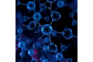 Non-Genotoxic Stem Cell Therapy Enhances Blood Health