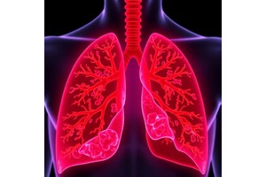 Inflammation Predicts Immunotherapy Success in Lung Cancer
