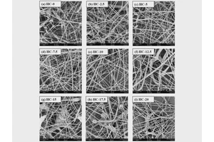 Revolutionary Edible and Biodegradable Fibers Created from Milk Protein and Cellulose