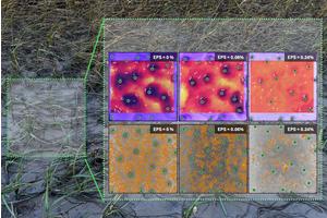 New Study Identifies Key Zones of Microplastic Accumulation