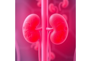 Antihypertensives and Kidney Cancer Risk Linked