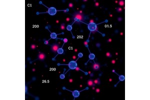 AI Scientist Identifies Combinations of Common Non-Cancer Drugs That Effectively Kill Cancer Cells