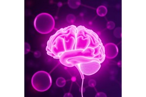 Extended Reproductive Span Associated with Improved Brain Health in Aging Women, New Study Finds