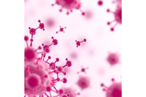 Functional Antioxidants Boost Gamma Delta T-Cell Attack