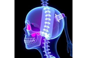 Plasma Fluoride Levels Linked to Youth Bone Mass