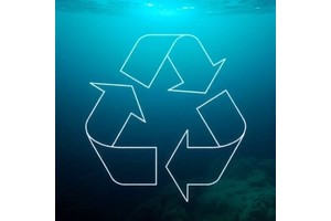 Deep Sea Recycling: How Trace Elements Return to the Ocean’s Depths