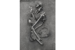 Bronze Age Breakthrough: Dietary Shifts Spark Major Societal Transformation