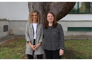 Innovative Algorithm Classifies Olive Grove Types from Satellite Images, Eliminating Need for Field Visits