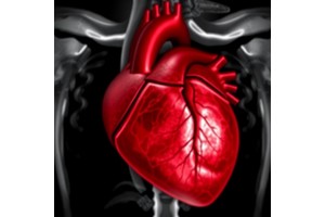 Cardiorespiratory Shifts Following Transcatheter PDA Closure