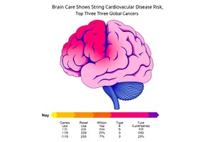 Brain Care Score Shows Strong Correlation with Cardiovascular Disease Risk and Top Three Global Cancers