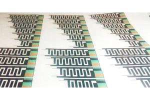 Scientists Create Biodegradable Battery Powered by Probiotics