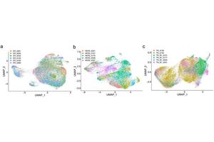 Decoding Tumor Diversity: Quantitative Breakthroughs from Single-Cell RNA Sequencing in Breast Cancer Subtypes