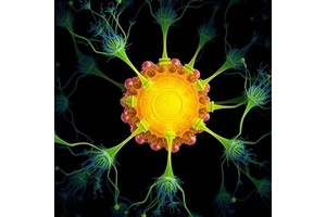 Multifaceted THMCB Coupling in Microbial Carbonate Precipitation