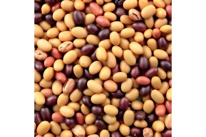 Daily Bean Intake Enhances Heart and Metabolic Health, Study Finds
