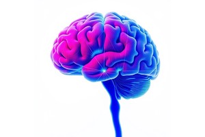 Cerebral Perfusion Links Metabolism, Amyloid in Alzheimer’s