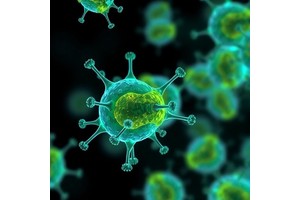Bacterial Nanovesicles Deliver Combined Chemical-Immunotherapy for Infection