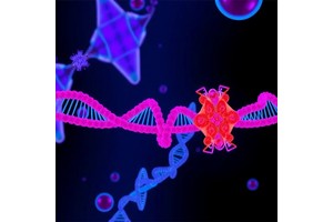SPSB1 Controls HnRNP A1 to Regulate Splicing, Migration