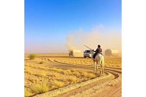 Study Reveals Link Between Human-Induced Dust Events and Fallow Farmland
