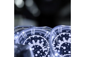 WDR45 Controls Stress Granule Breakdown via Phase Separation