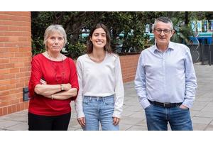 University of Barcelona Researchers Discover DNA Regions and Key Genes Triggering Liver Regeneration