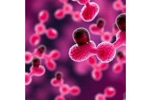 Scientists Discover Potential Anti-Aging Compounds in Blood Bacteria