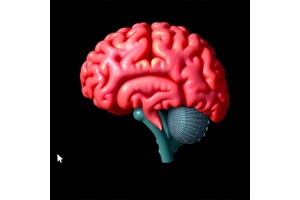 ML Classifies Pediatric Bipolar via Thalamus Volume