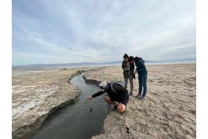 Study Reveals Air Quality Monitoring Fails to Capture Toxic Emissions Affecting Salton Sea Communities