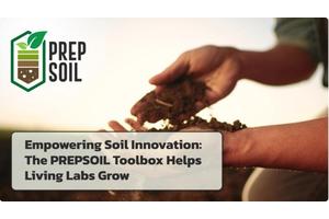 Advancing Soil Innovation: How the PREPSOIL Toolbox Supports Living Labs in Driving Sustainable Solutions