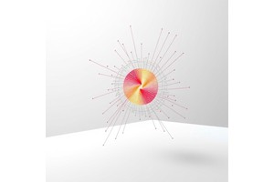 String Breaking Observed on 2D Rydberg Simulator