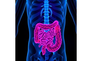 NLRP3 Inflammasome’s Impact on Necrotizing Enterocolitis