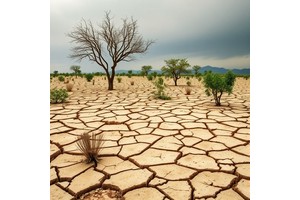 Rising Atmospheric Thirst Intensifies Droughts, Even in Rainy Regions
