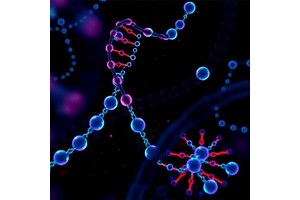 Multi-Omic Plasma cfDNA Detects Gastric Cancer