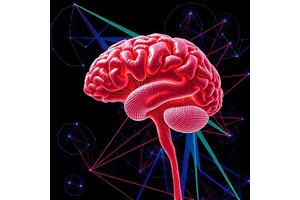 Hippocampus Builds Expanding Memory Maps