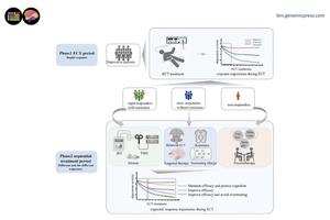 ECT Sessions Influence Depression Treatment Outcomes, Study Finds