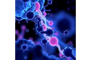 Pan-Immune-Inflammation Value Predicts Wilms’ Outcomes